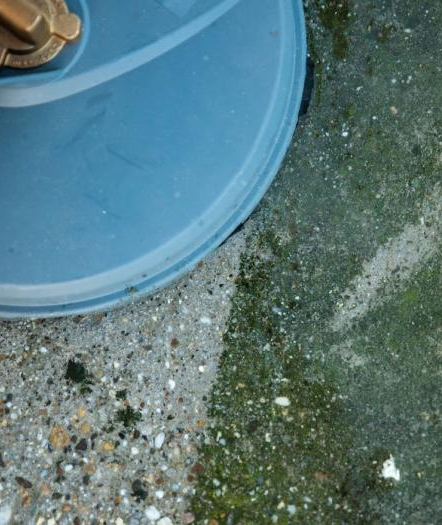 Čistenie a obnova fasád